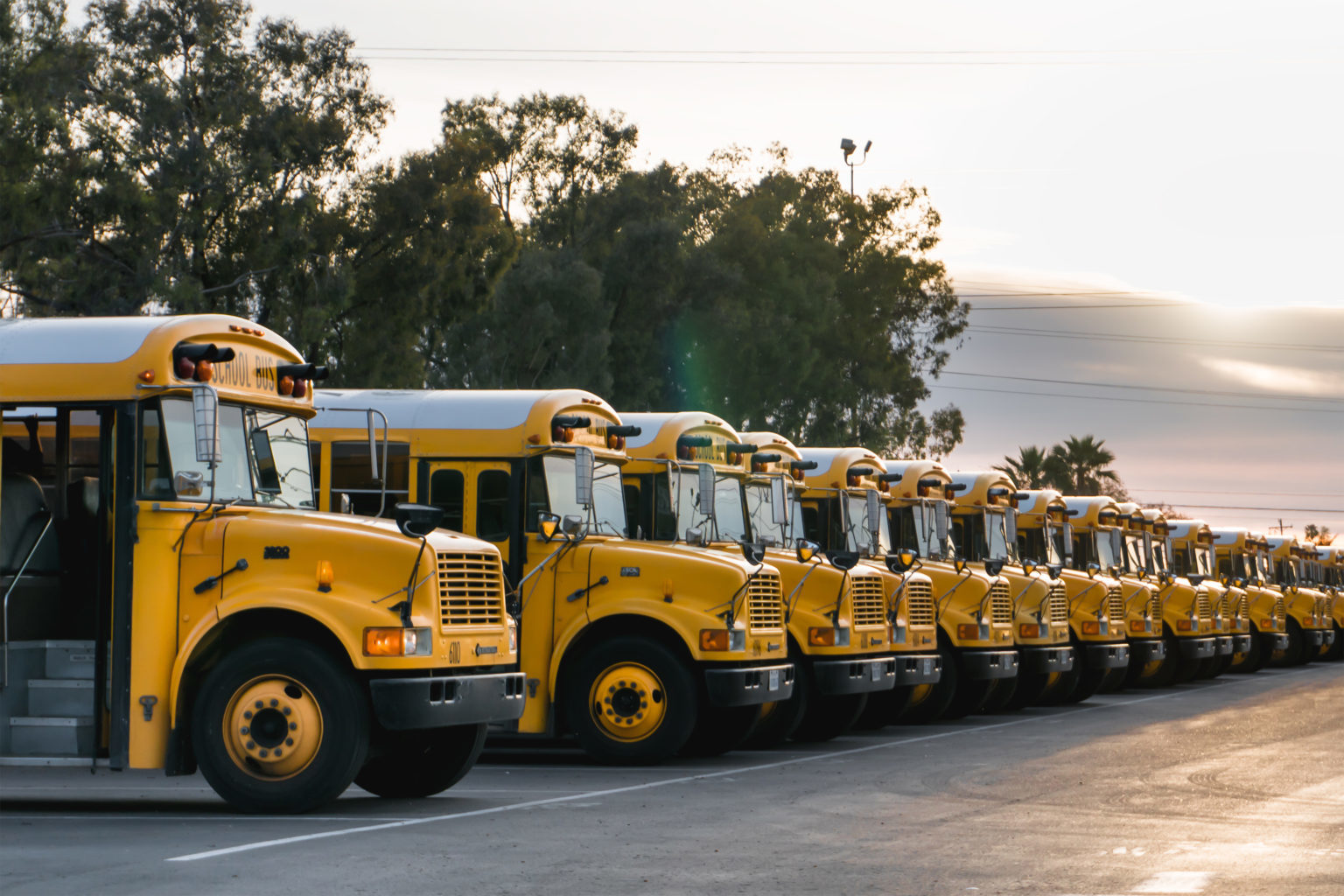 school buses school bus transportation services go riteway riteway bus